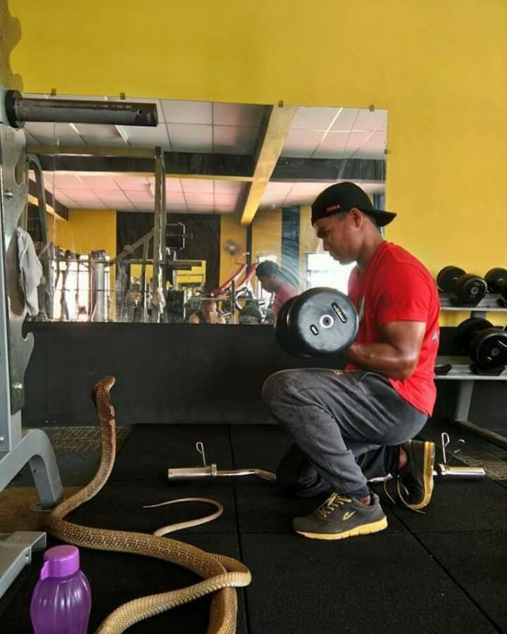 14581443_1264531476901570_5562895173113580253_n